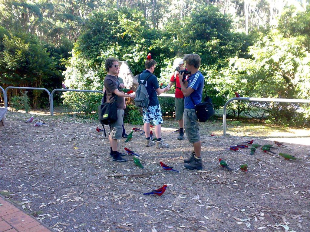 Batemans Bay Holiday Park & Hostel Kültér fotó